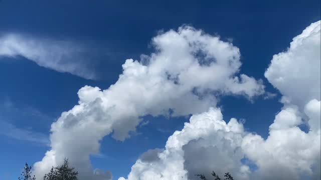 Fantastic day for bubbling clouds!
.
.
#clouds #weather #cloudporn #skies #cumulus